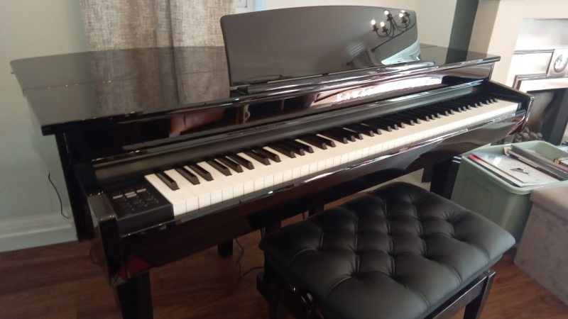 The left side of a black grand piano